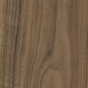 American Black Walnut